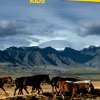 Tonies National Geographic Kids: Horse Tonie